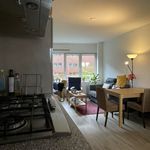 Rent 2 bedroom apartment of 44 m² in Amersfoort