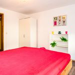 Miete 4 Schlafzimmer wohnung von 95 m² in Bonn