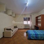 Affitto 3 camera appartamento di 150 m² in Brindisi
