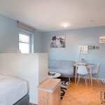 Rent 1 bedroom apartment of 28 m² in Neu-Isenburg