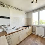 Rent 4 bedroom apartment of 65 m² in Savigneux