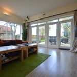 Rent 1 bedroom house of 18 m² in Hoeselt