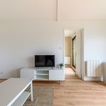 Rent 2 bedroom apartment of 42 m² in Vannes