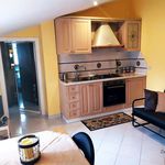 Affitto 2 camera appartamento di 50 m² in Marino