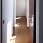 Rent 4 bedroom apartment of 120 m² in Trivolzio