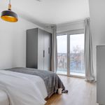 Rent 3 bedroom apartment of 71 m² in Vienna