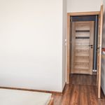 Rent 3 bedroom apartment of 63 m² in Zabrze