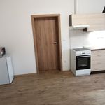 Rent 1 bedroom apartment of 68 m² in Lysá nad Labem