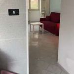 Affitto 1 camera appartamento di 75 m² in Roma