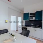 Rent 1 bedroom apartment of 11 m² in Leoben