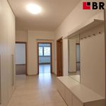 Rent 2 bedroom apartment of 83 m² in Brno