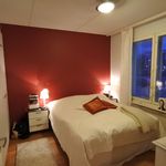 Vuokraa 2 makuuhuoneen asunto, 53 m² paikassa Jyväskylä