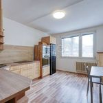 Rent 2 bedroom apartment of 43 m² in Plzeň