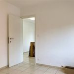 Rent 1 bedroom apartment in Zoersel