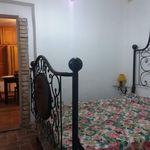 Rent 1 bedroom house of 60 m² in Chianni