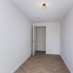 Rent 4 bedroom apartment of 119 m² in 's-Gravenhage