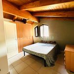 Rent 2 bedroom apartment of 50 m² in Avellino