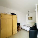Rent 1 bedroom apartment of 23 m² in Amélie-les-Bains-Palalda