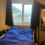 Rent 5 bedroom apartment in Exeter