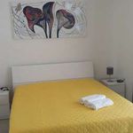 Affitto 2 camera appartamento di 70 m² in Nardò