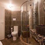 Ενοικίαση 12 υπνοδωμάτιο διαμέρισμα από 900 m² σε Agios Stefanos