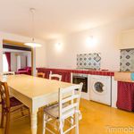 Affitto 3 camera appartamento di 65 m² in Negrar di Valpolicella