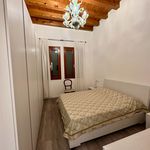 Rent 2 bedroom apartment of 55 m² in Venezia