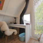 Rent 2 bedroom apartment of 45 m² in Groningen