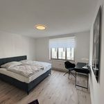 Rent 2 bedroom apartment of 53 m² in Schönefeld