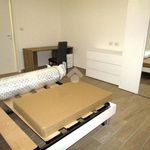 Affitto 4 camera appartamento di 90 m² in Parma
