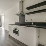 Rent 1 bedroom apartment of 33 m² in 's-Gravenhage
