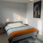 Huur 4 slaapkamer appartement van 199 m² in Gorinchem