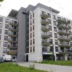 Rent 1 bedroom house of 38 m² in Warszawa