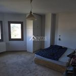 Ενοικίαση 2 υπνοδωμάτιο σπίτι από 12000 m² σε Agios Stefanos