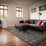 Rent 1 bedroom apartment of 50 m² in Wiesbaden