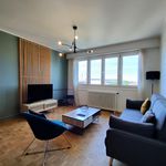 Rent 4 bedroom apartment of 84 m² in Nancy