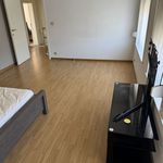 Rent 3 bedroom apartment in Torhout