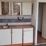 Rent 1 bedroom apartment of 39 m² in Duchcov