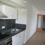 Rent 2 bedroom apartment of 65 m² in Minihof-Liebau