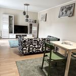 Rent 2 bedroom apartment of 58 m² in Chemnitz