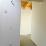 Rent 3 bedroom apartment of 90 m² in Cureglia