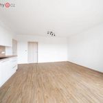 Rent 2 bedroom apartment of 63 m² in Pilsen