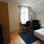 Rent a room of 250 m² in Bergen
