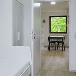 Rent a room of 90 m² in Düsseldorf