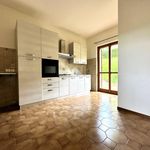 Rent 4 bedroom house of 220 m² in Torre de' Roveri