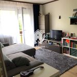 Rent 2 bedroom house of 39 m² in Debrecen