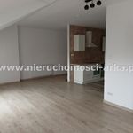 Rent 3 bedroom apartment of 55 m² in Laskowa