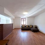 Rent 1 bedroom apartment of 84 m² in Boskovice