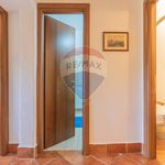 Rent 3 bedroom apartment of 87 m² in Ischia di Castro
