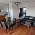 Rent 3 bedroom apartment of 70 m² in Katowice